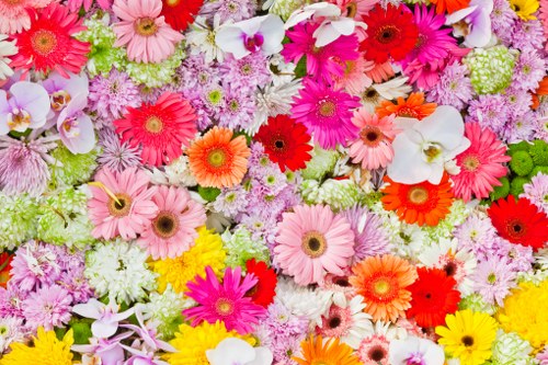 Vibrant bouquet of mixed flowers arranged beautifully