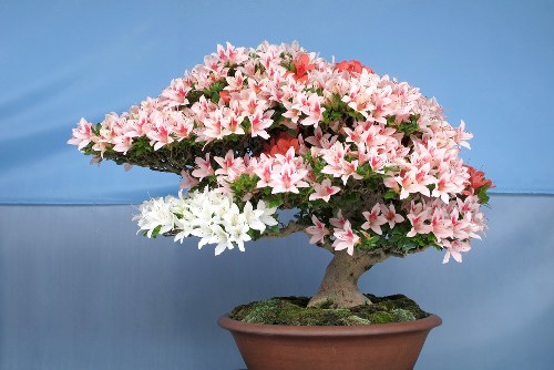 A vibrant bouquet of mixed flowers symbolizing various emotions