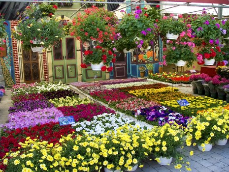 A skilled florist arranging a beautiful floral display.