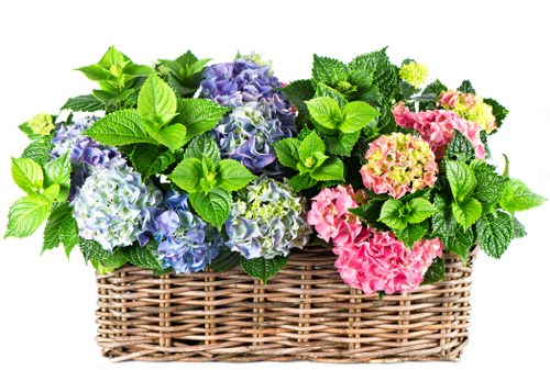 Assorted flowers representing different symbolic meanings