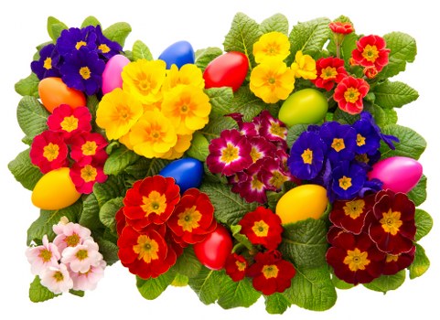 Florist conducting a flower arranging workshop.